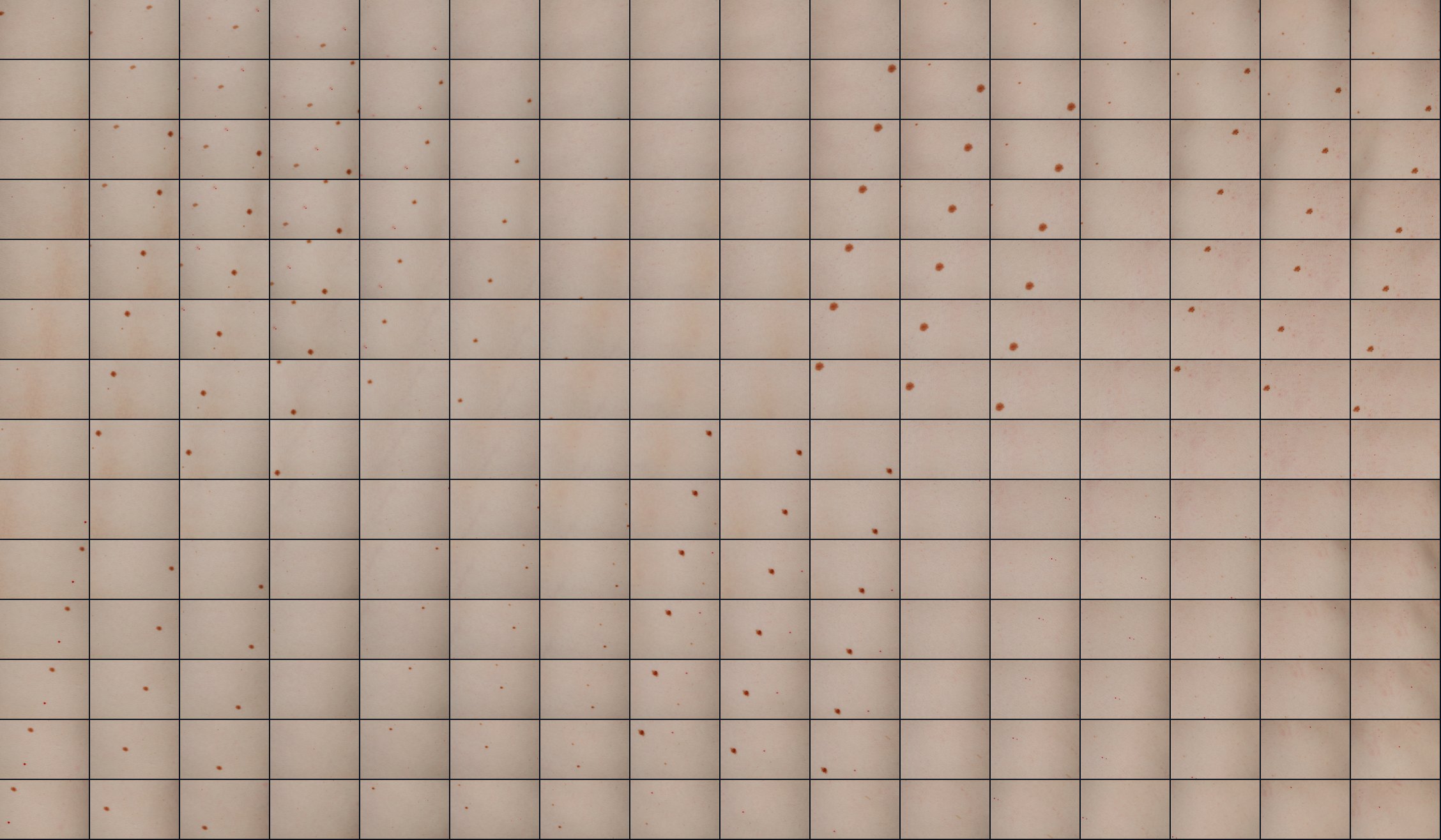 Spatial map of raw scan frames placed at their true focus position on the body